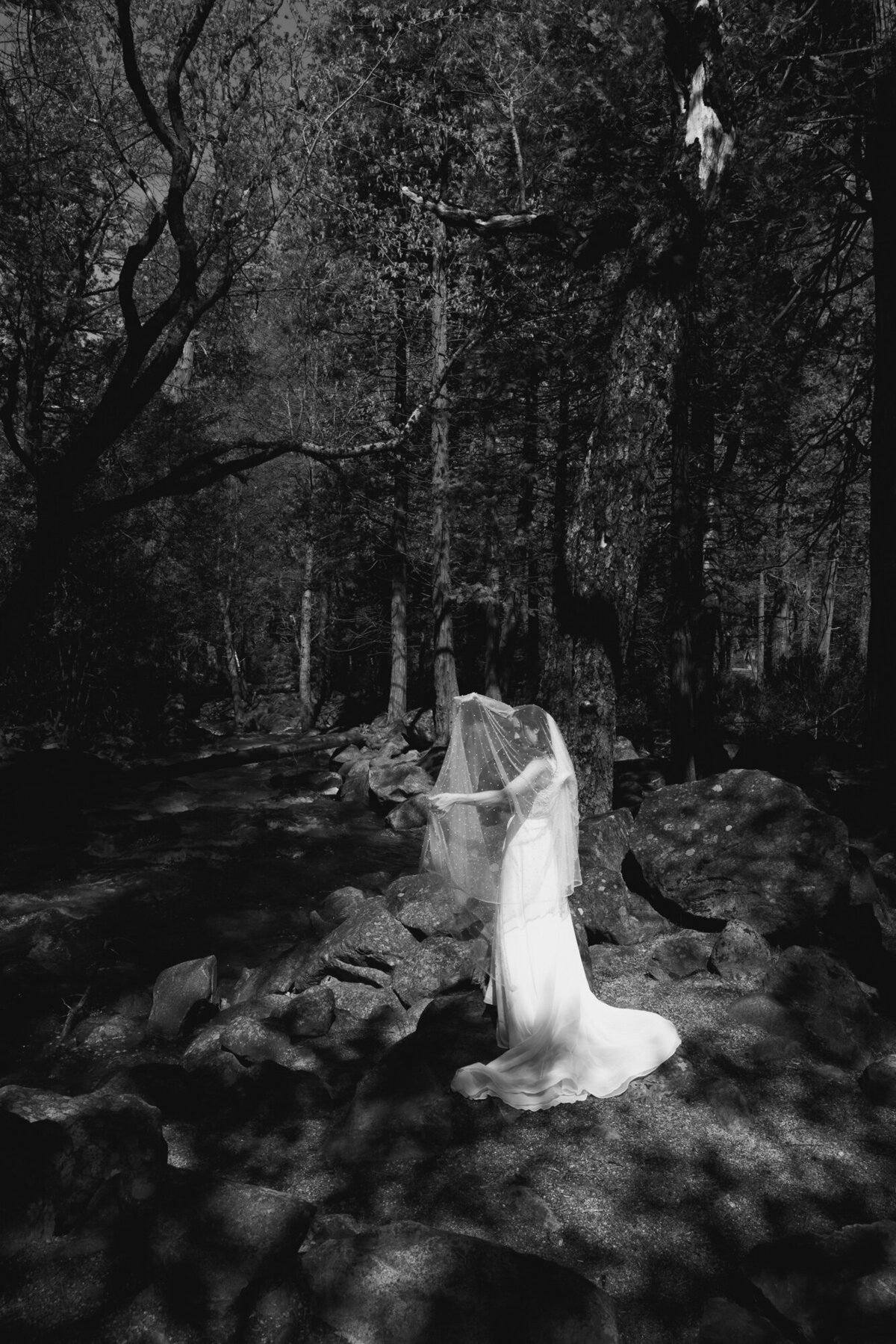 Yosemite Elopement-44