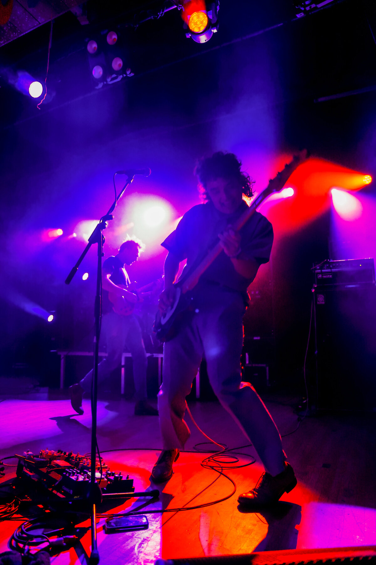 treefortfest2025-12