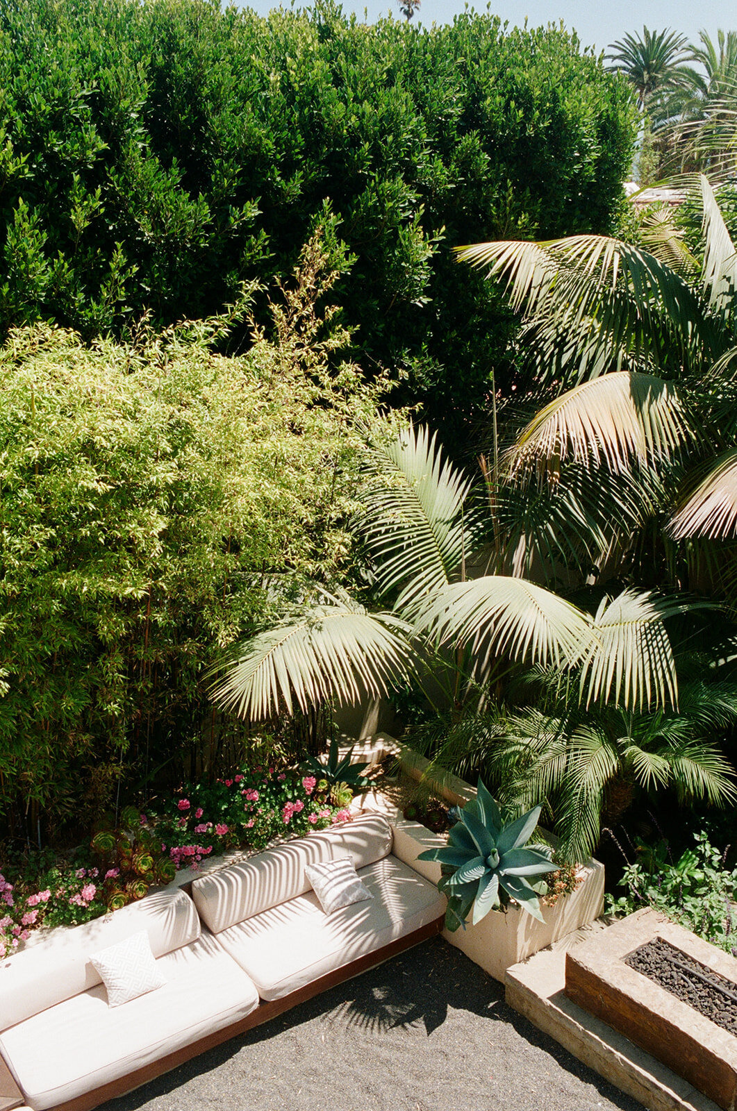 Cierra_Roman_Santa_Barbara_Orchid_Farm_Wedding_Sberard_Weddings-43