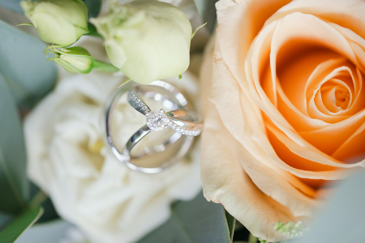 Kelham Country Manor House Wedding Photographer - Stunning Nottingham Venue-7