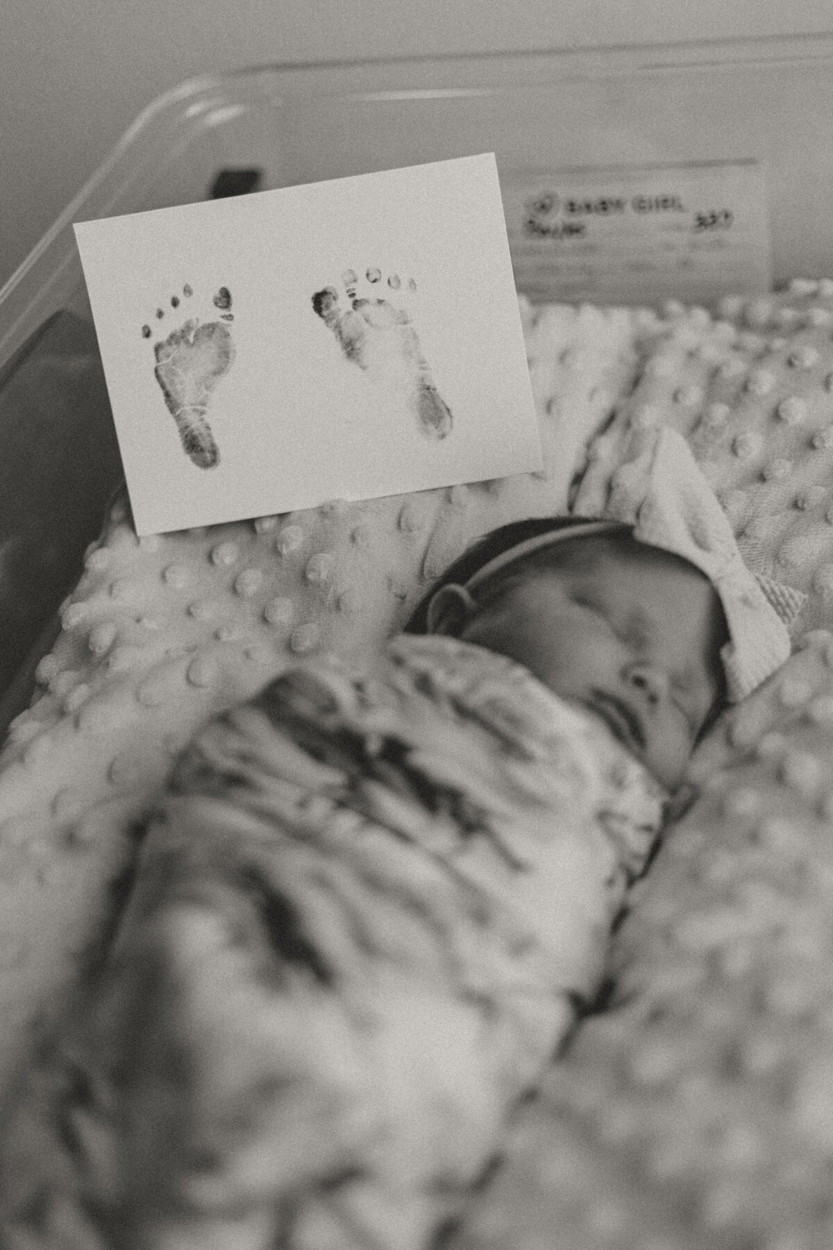 CindyG.Photography-1514