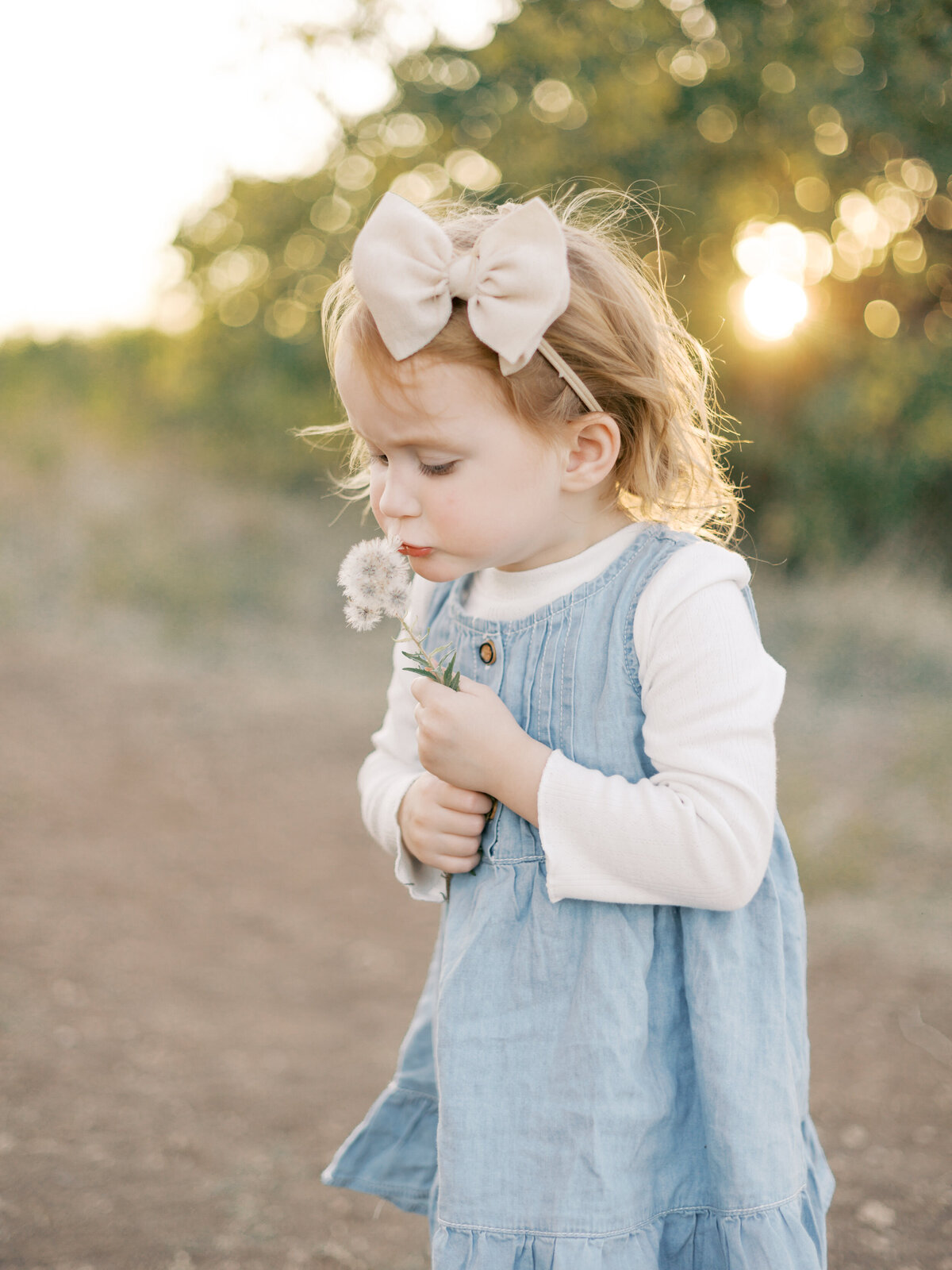 dallas baby photographer