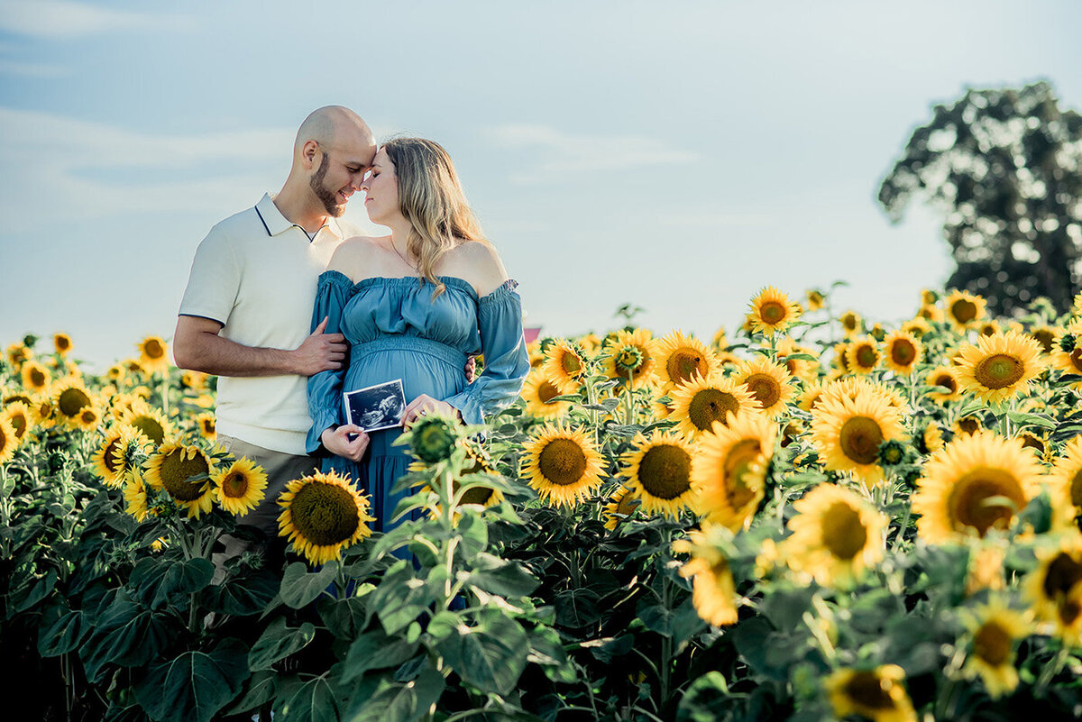 couple in sunflowers