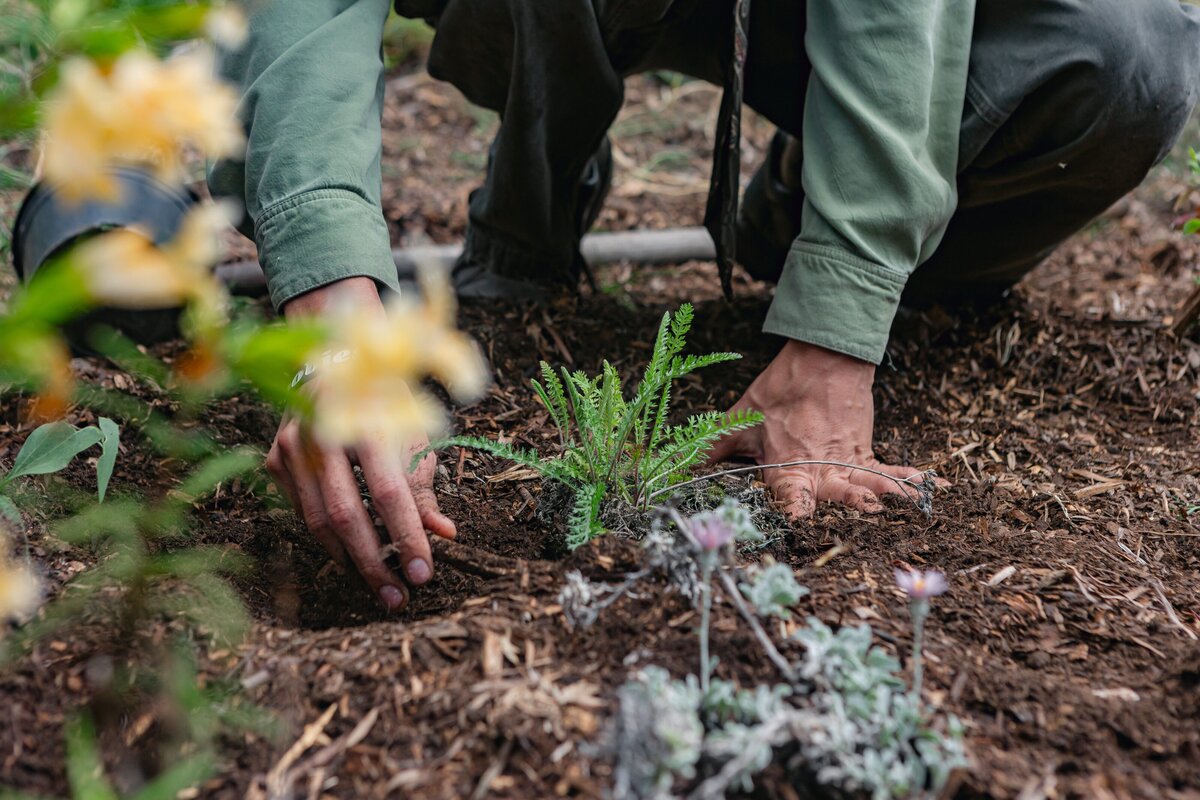 The-Ripe-Org-Farm-Ventura-California-Santa-Paula-Non-Profit-0031