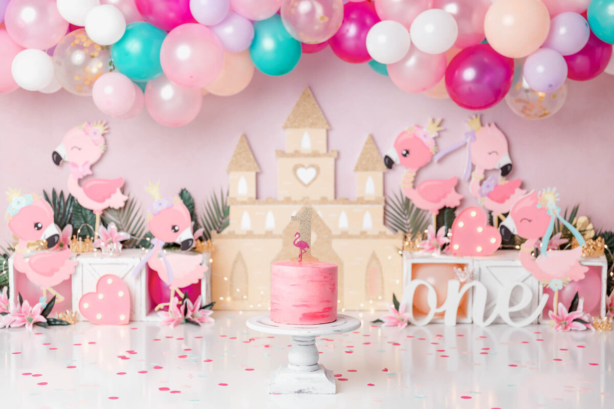 new-jersey-smash-cake-photographer-44