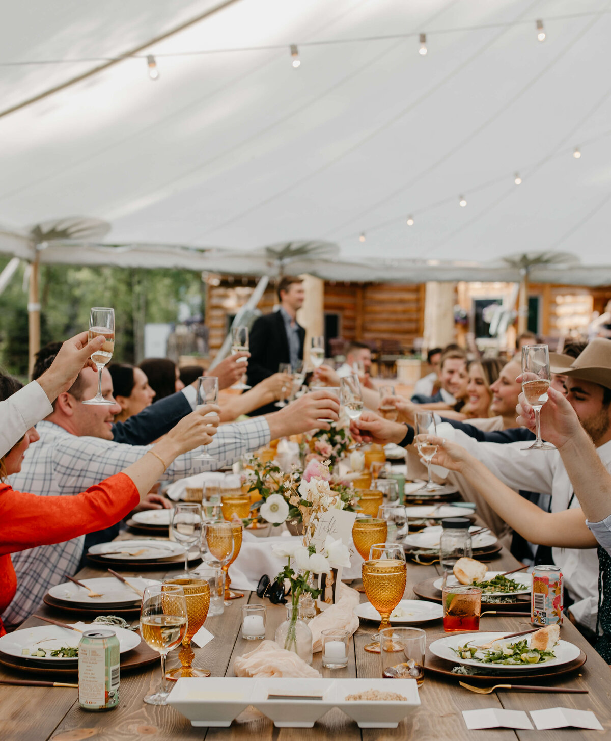 Toast-champagne-guests-at-wedding-reception-wy-jackson