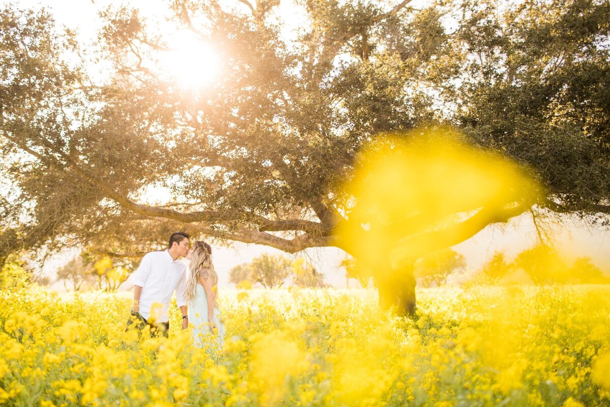 WebsiteGalleries_Engagements-4