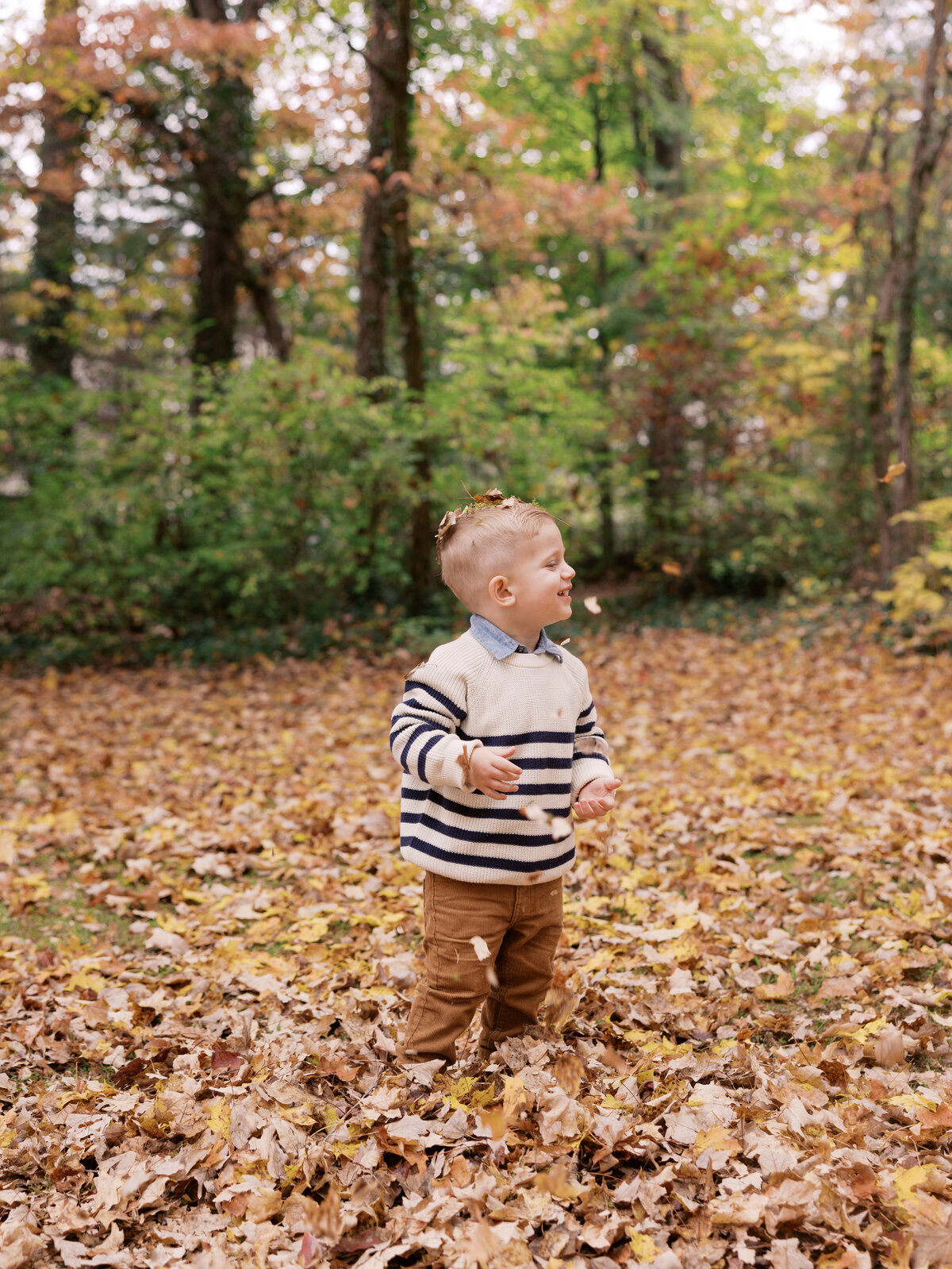 Smith_Mini_Fall_2024_Abigail_Malone_Photography-91
