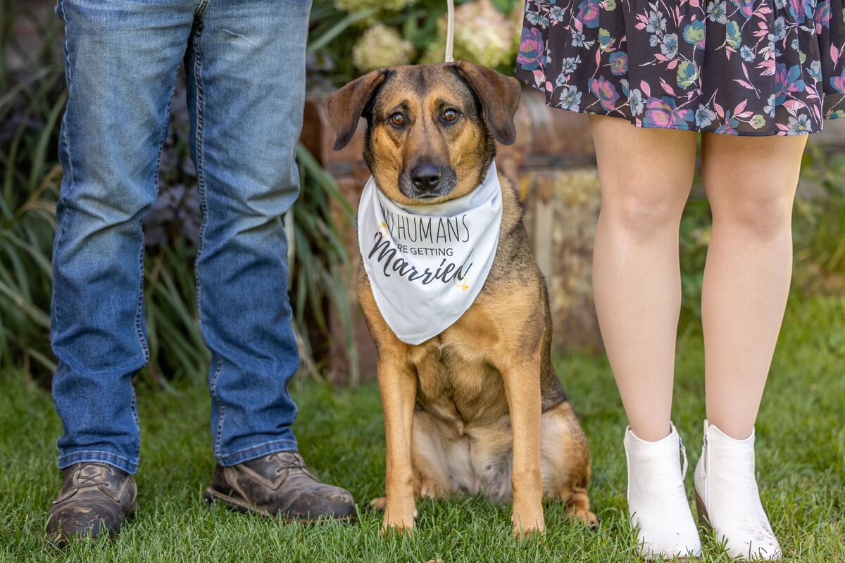 Tyler & Sierra Engagement Photo - DVX11130