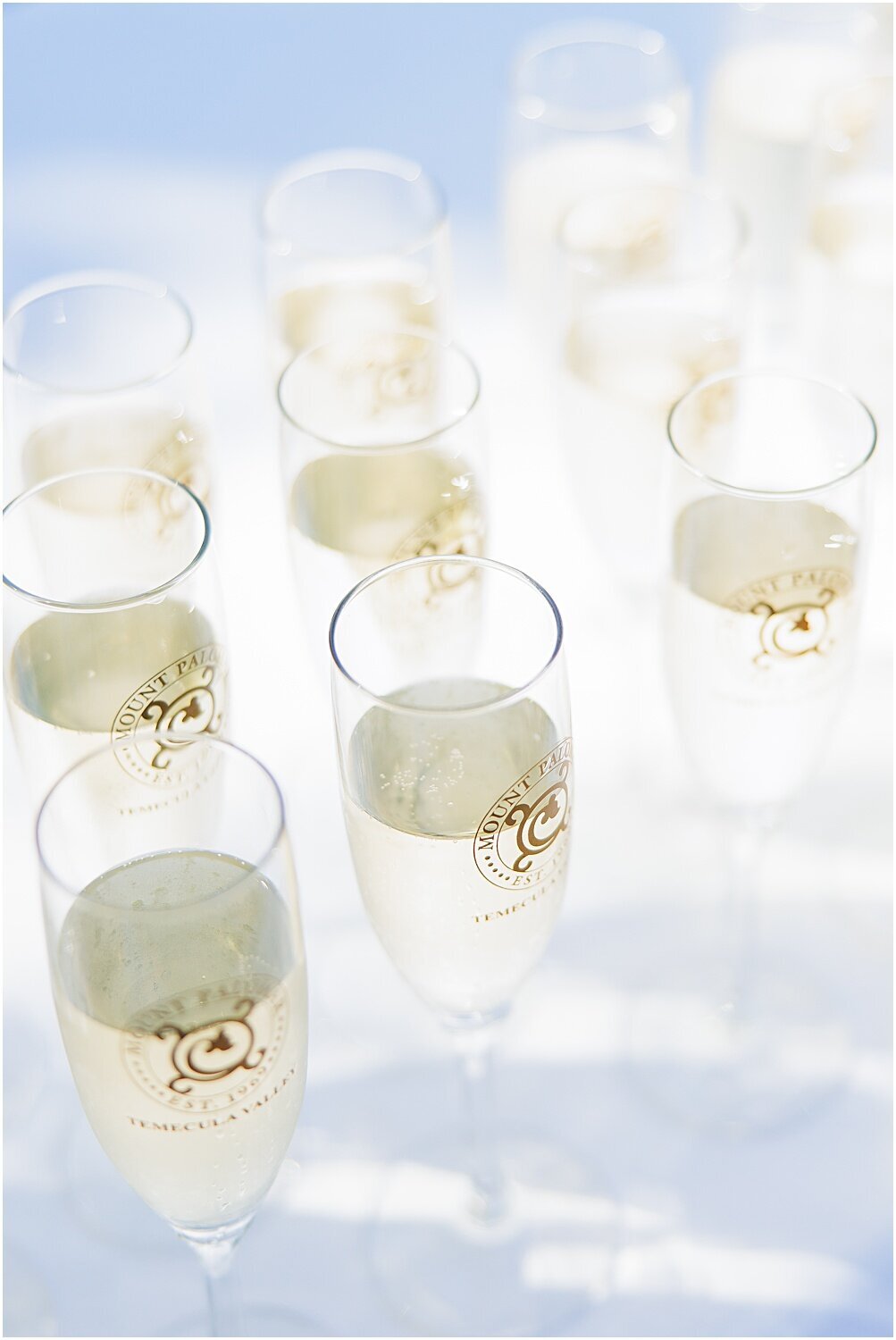 Mount-Palomar-Winery-Wedding-Southern-California_0011