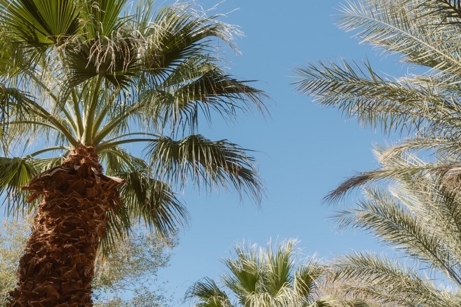 The-Oasis-Elopement-15