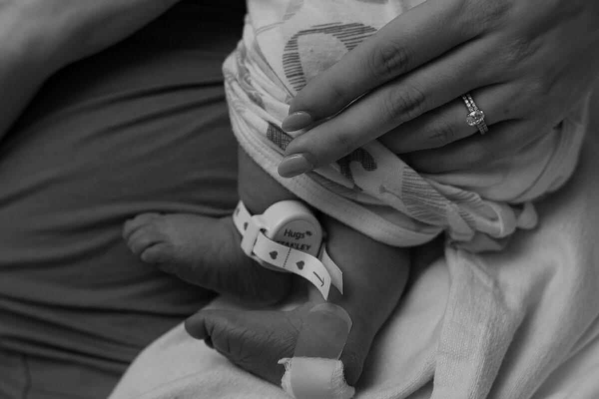 Baby Hess _Fresh 48_July 2024_0125