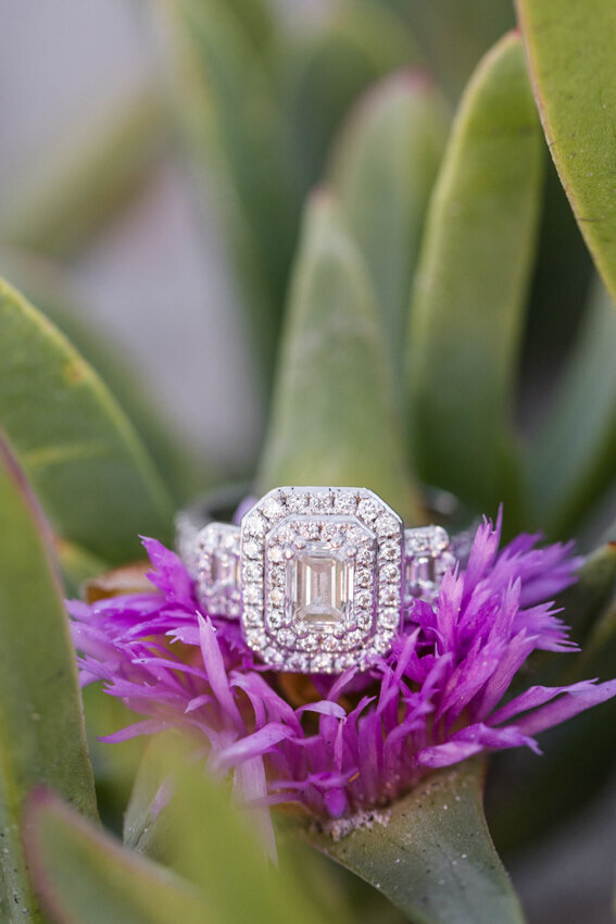 engagement-ring-on-iceplant