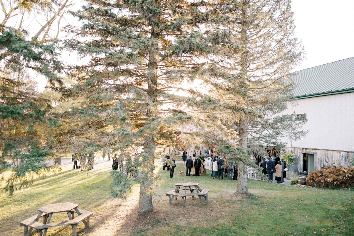 W11-Wedding-Photos-Caledon-Valley-Estate-Eleanor-and-Michael-2024-11-02-2500px-1163