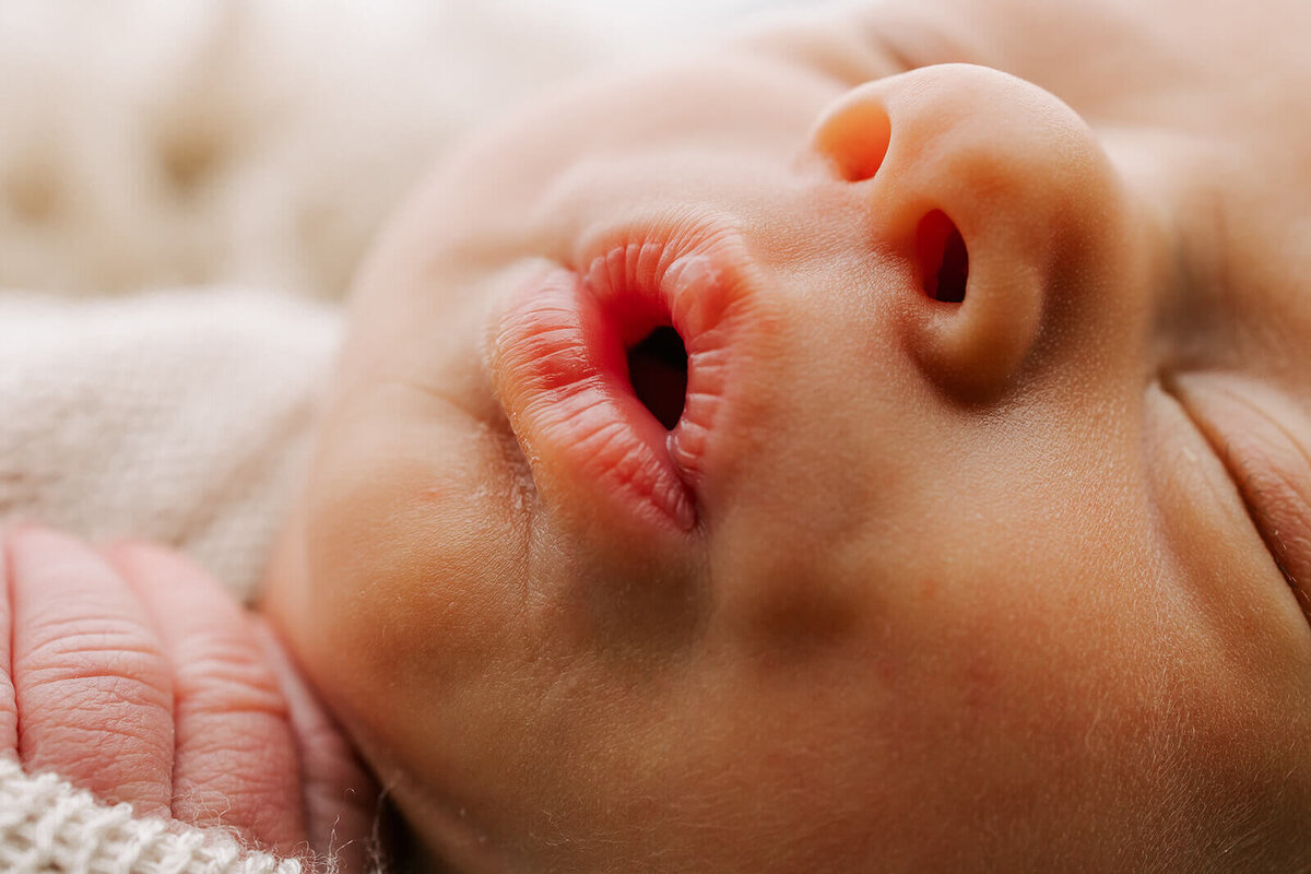 Portland-Newborn-Photographer-259
