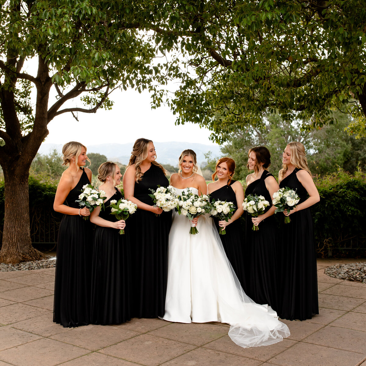 01272024_Lauren+KaleWedding_StonetreeNovatoCA_AnjaJensenPhotography-385
