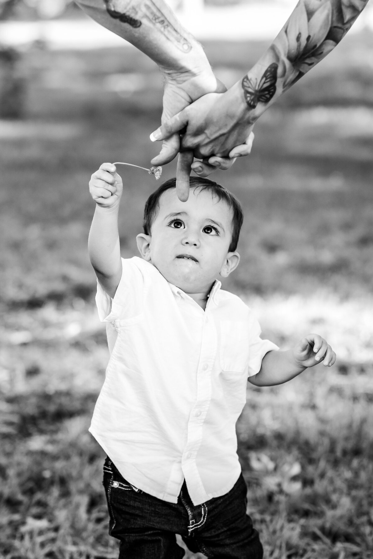 California-maternity-photographer-13