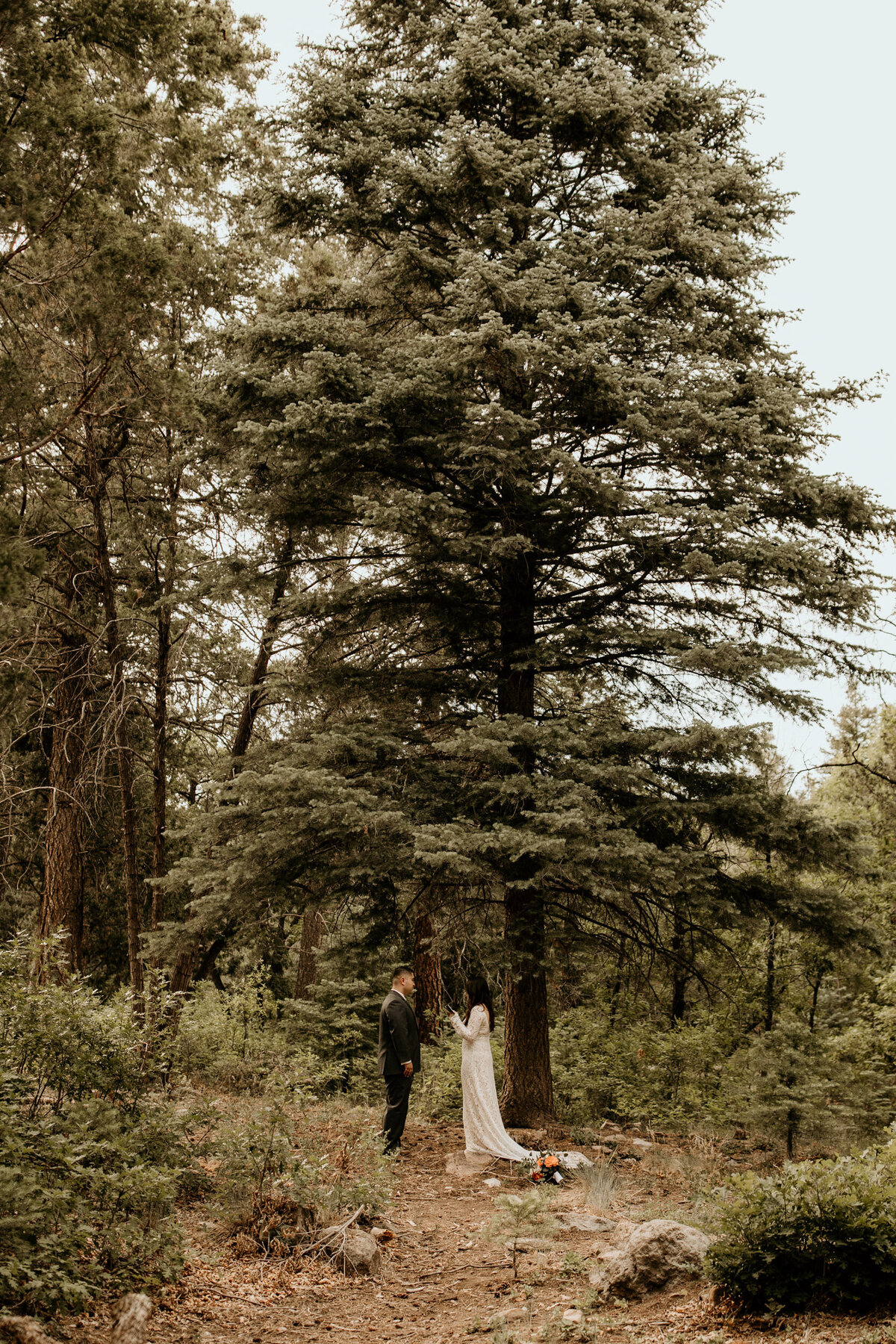 bride and groom exchanging private vows in the forest in Cedar Crest New Mexico