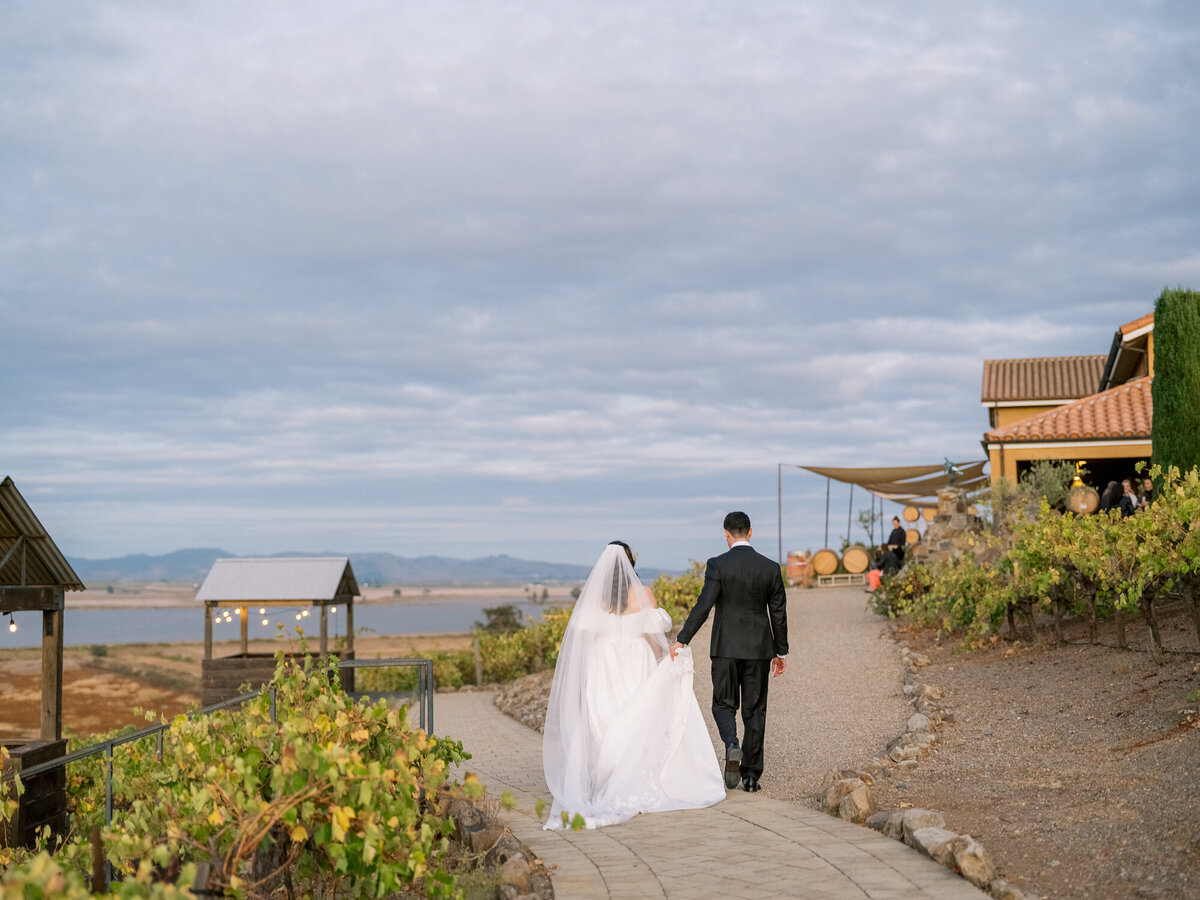 Bride and groom portraits vineyard wedding