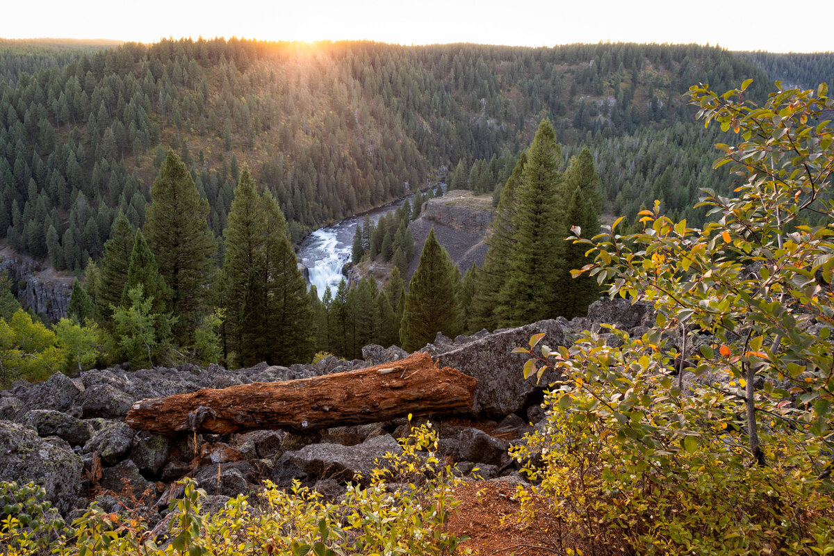 2018-09-02-275A433lower-mesa-falls-idaho