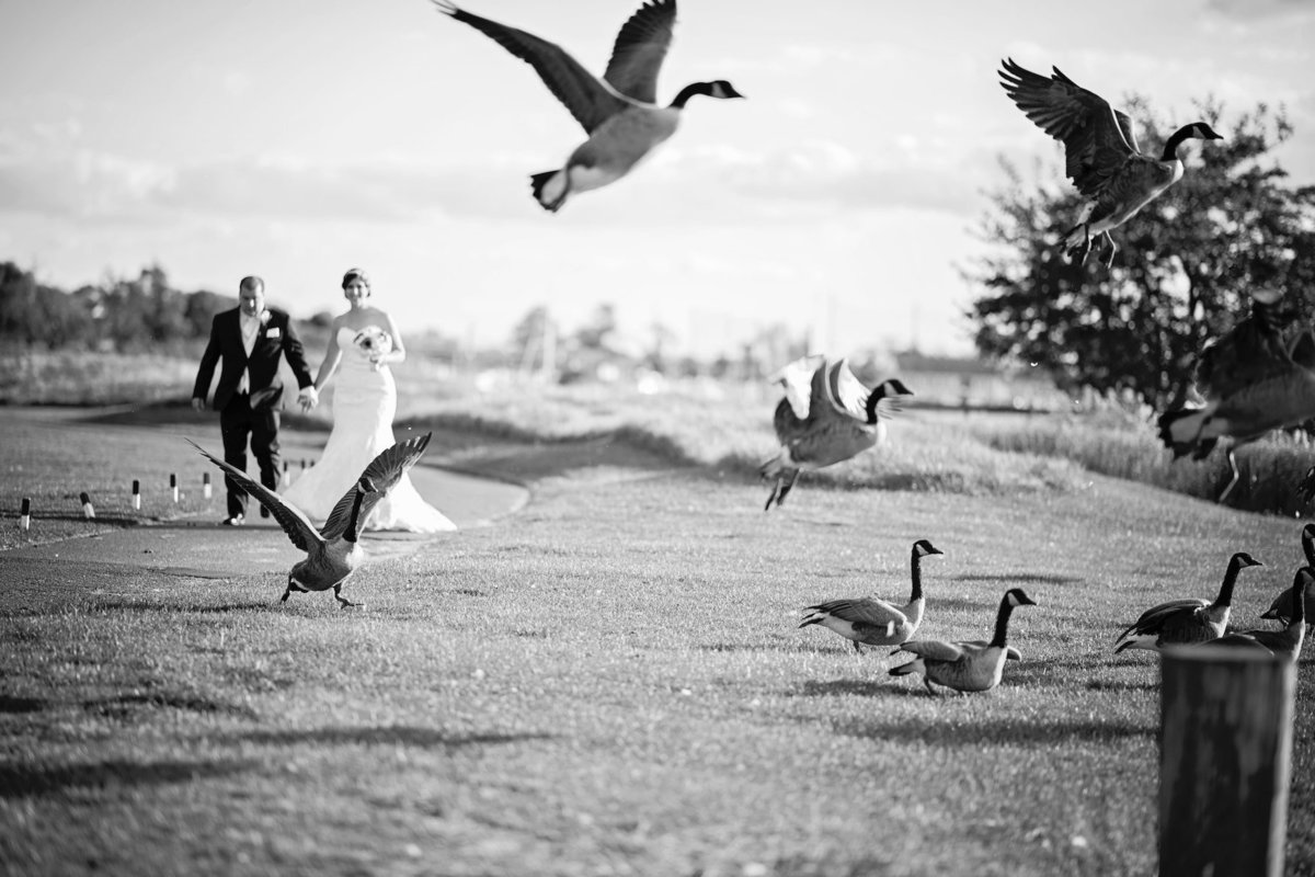 black and white photo with bride and groom and flying geese from wedding at Lawrence Yacht and Country Club