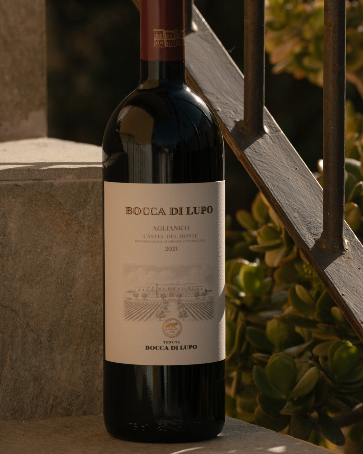 1Dec2025_MartiniGalleryFNS-2