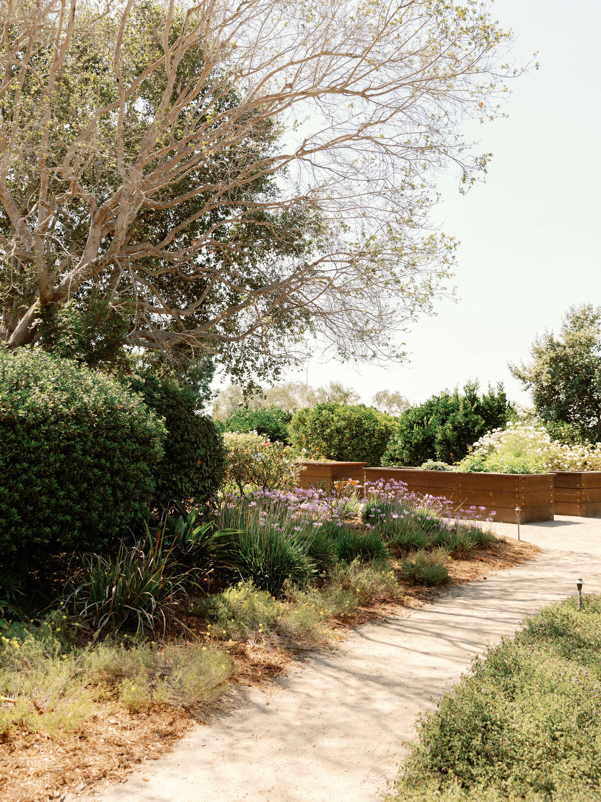 DianeSoteroPhotography_DestinationWedding_SanDiego_California_0327