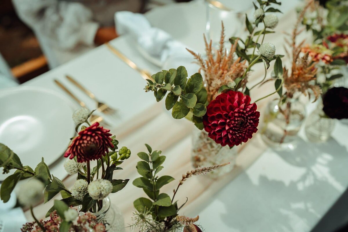 mt-rainier-elopement-cedrik-principe2