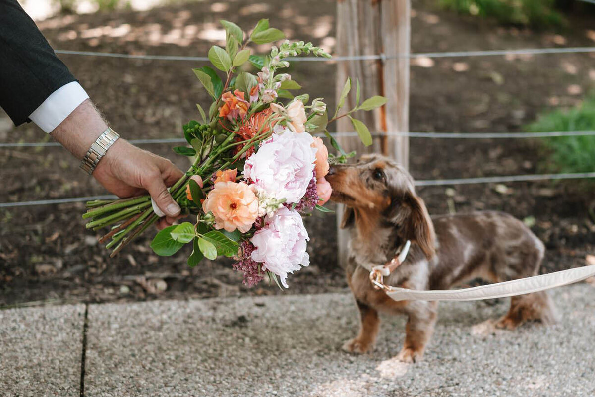 maggie-daley-park-cancer-survivors-garden-wedding-photos-melissa-ferrara-photography-01007 copy