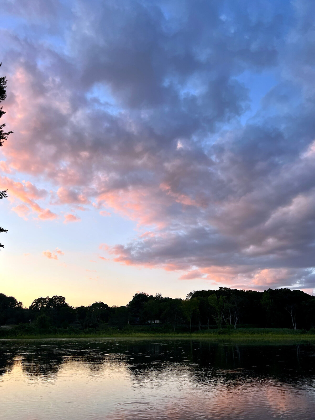CCC_Estuary_96