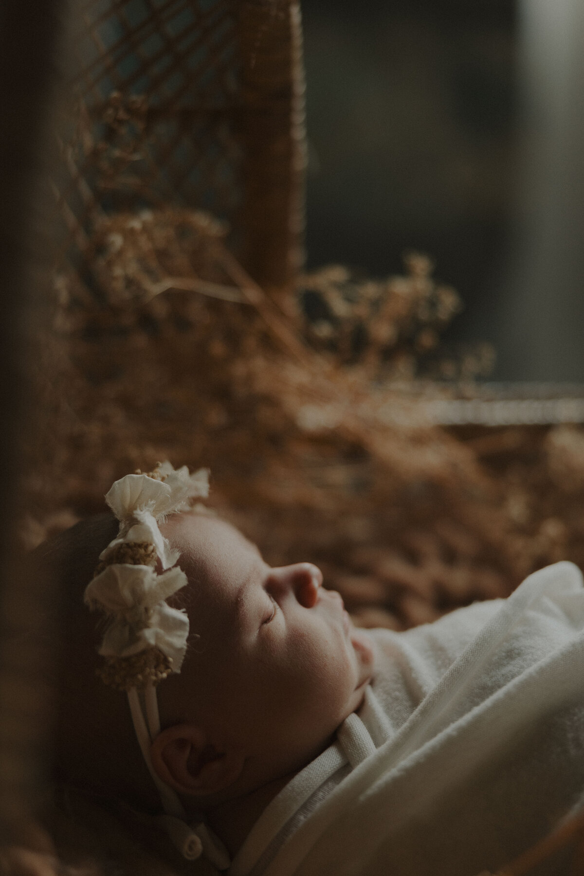 HarperNewborn-23-2