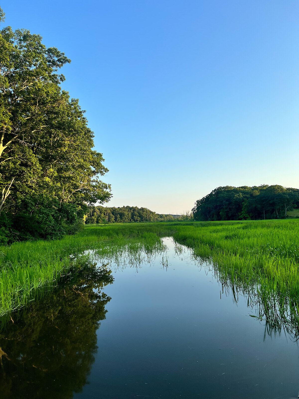 CCC_Estuary_4