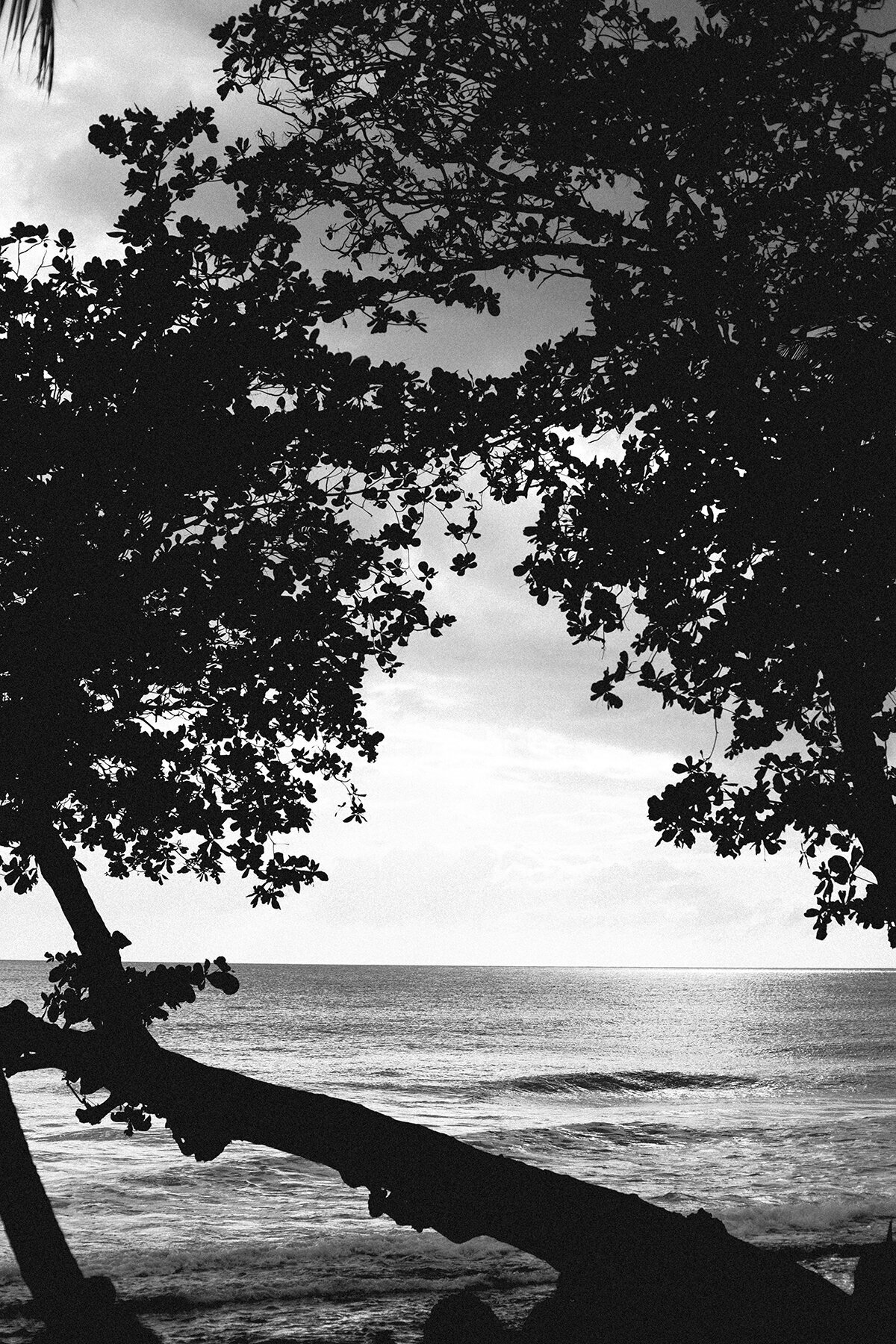 Michelle Norwood Living - Luxury Travel Inspiration - Puerto Rico - MSD-0446