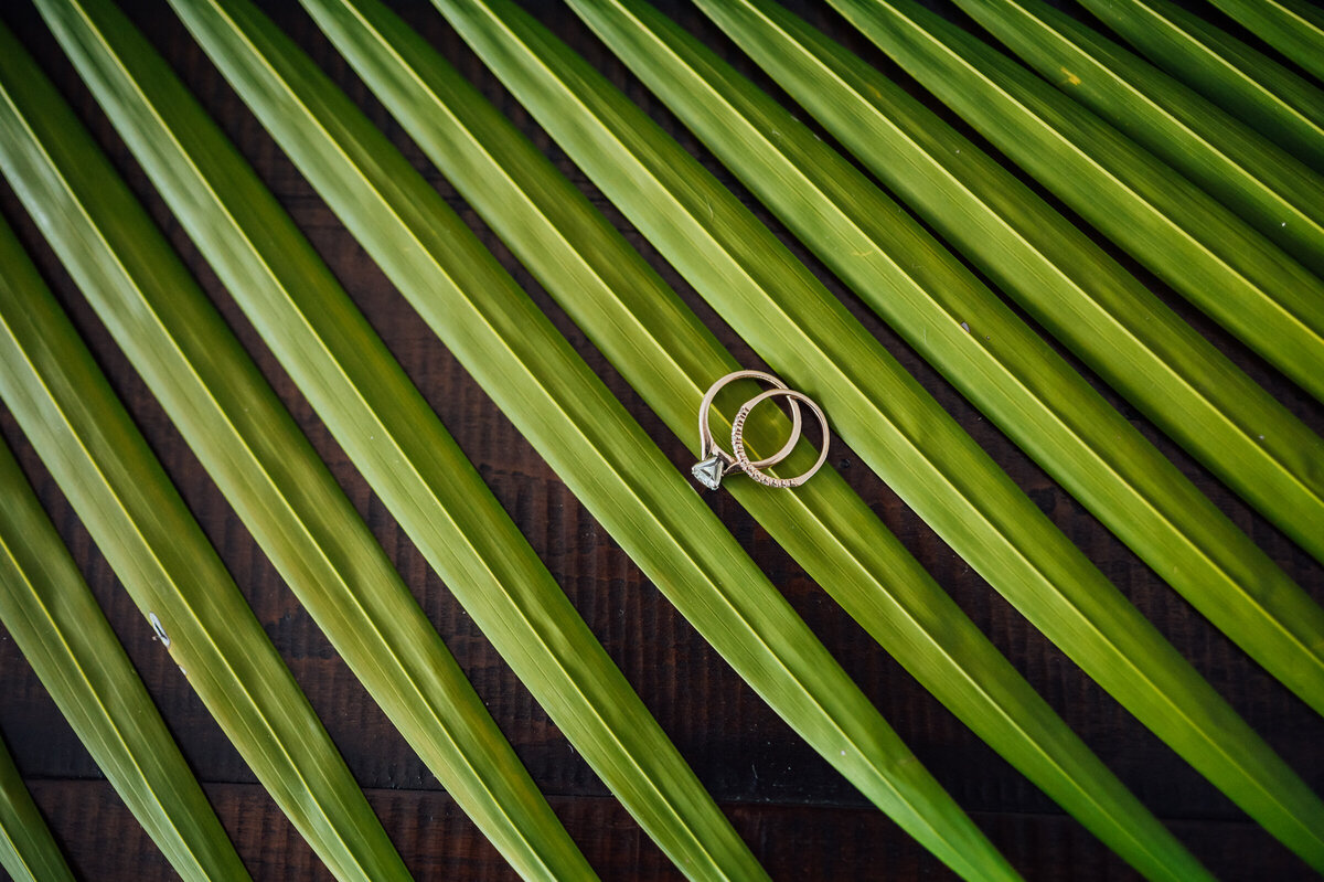 Papa-Kona-Hawaii-Wedding-Photographer_005