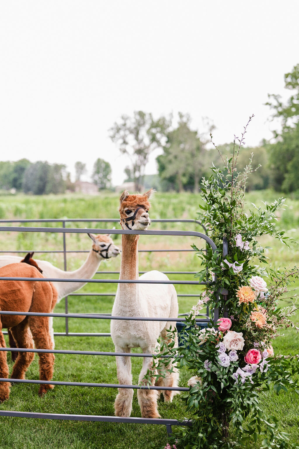 Etre Farms Colorful Summer Wedding in SoutWest Michigan_10