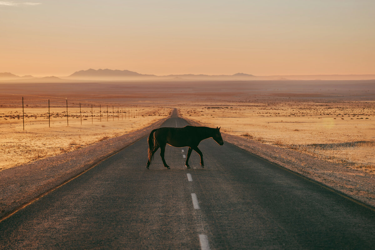 18_horse_helloemilie