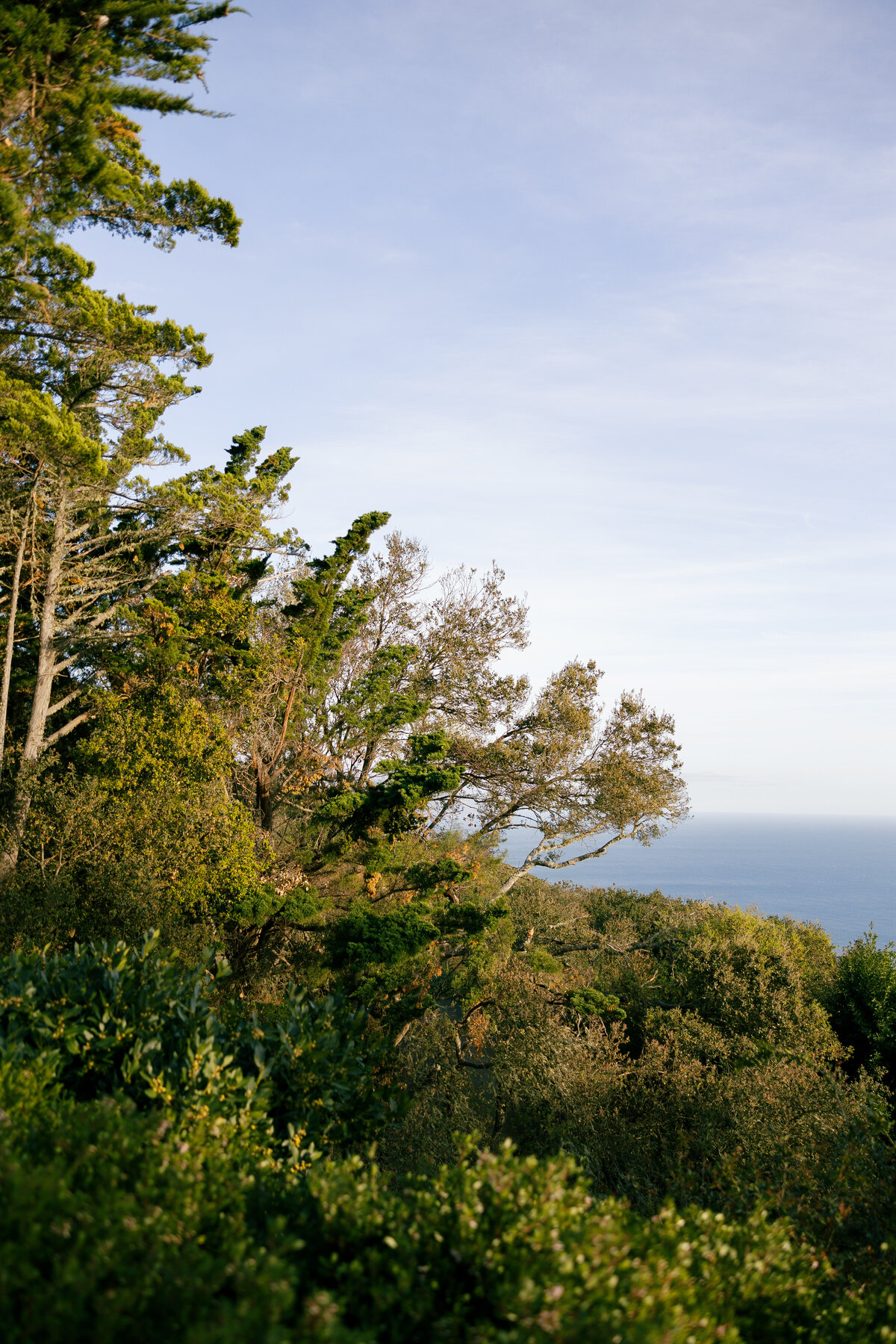 Ventana-Big-Sur-Wedding-Photographer-91