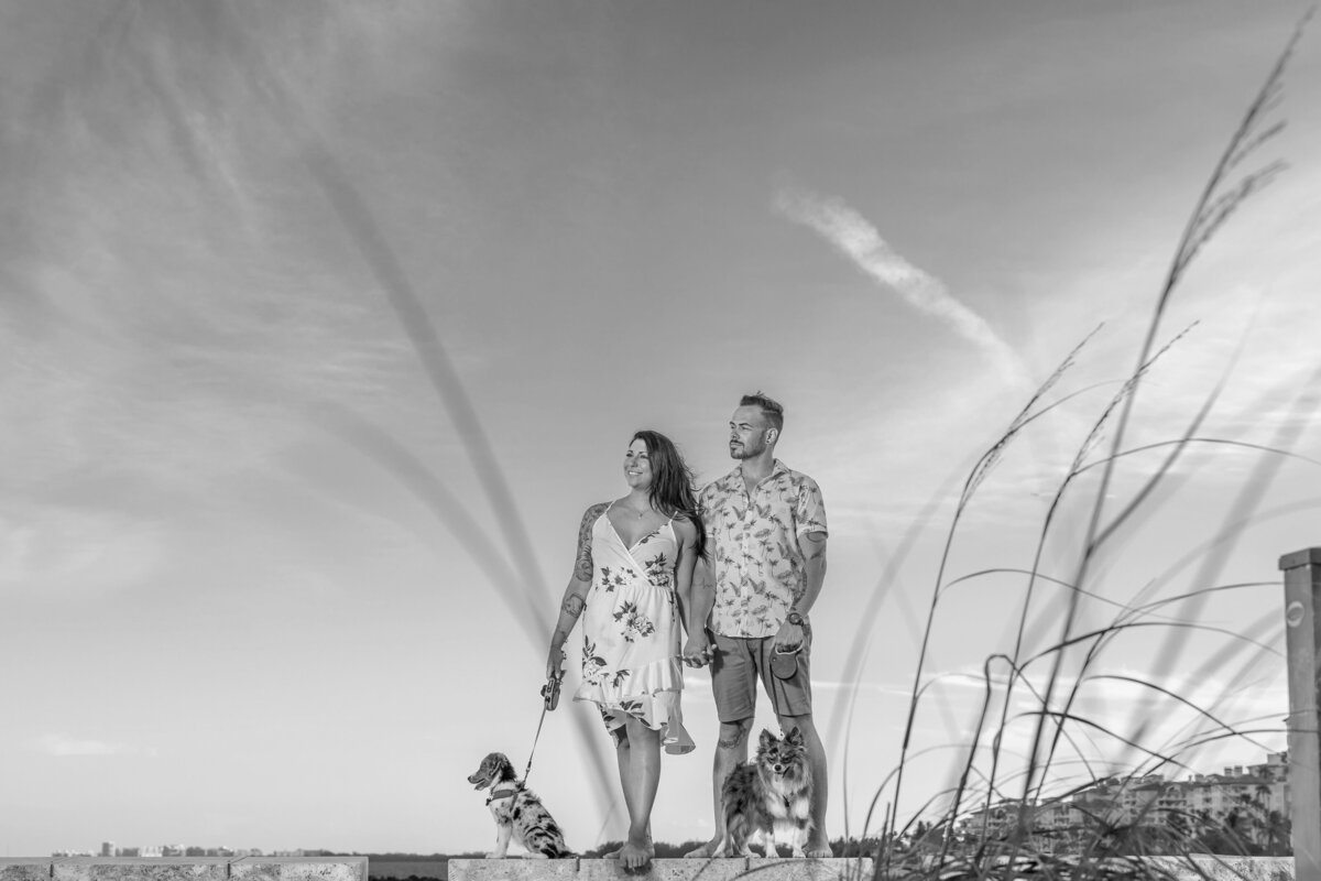 Engaged couple walking on a Miami beach with their two dogs, captured in black and white with a dramatic sky and beach grasses framing the scene.