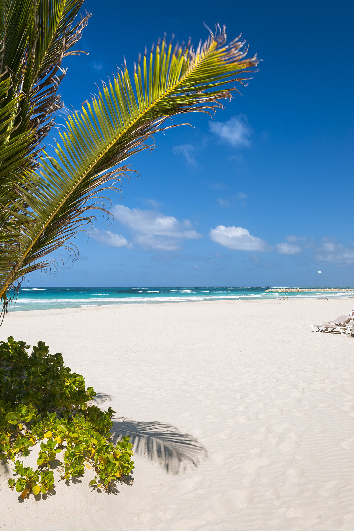 HRH Punta Cana Beach 5902 042513
