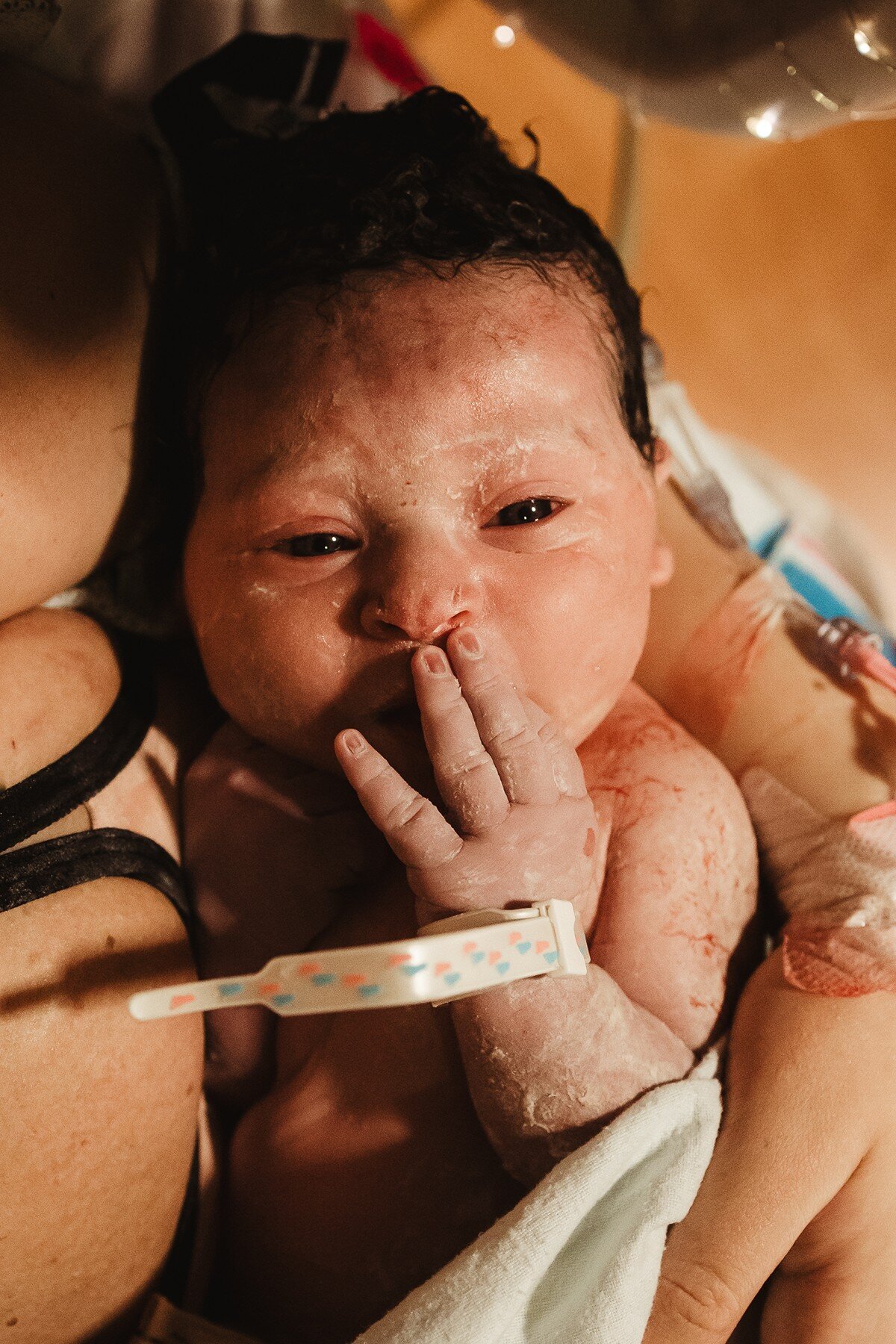 haley carney photography birth photography kankakee illinois