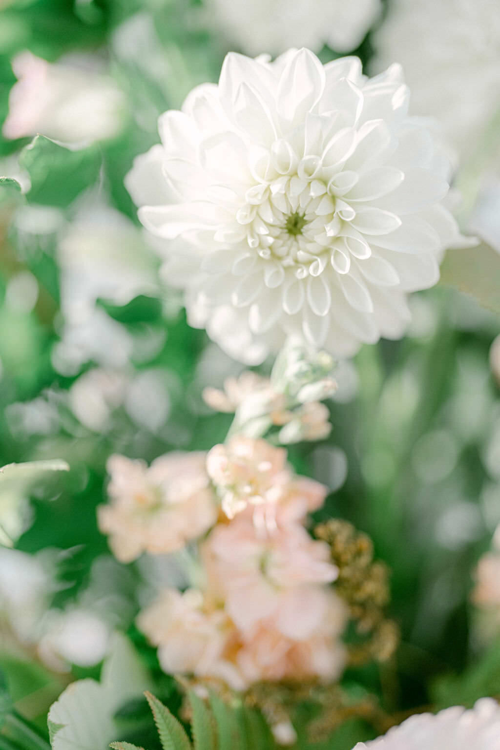 Montreal Science Center Wedding | Montreal Top Wedding Photographer | Luxury Moment Photography-02518