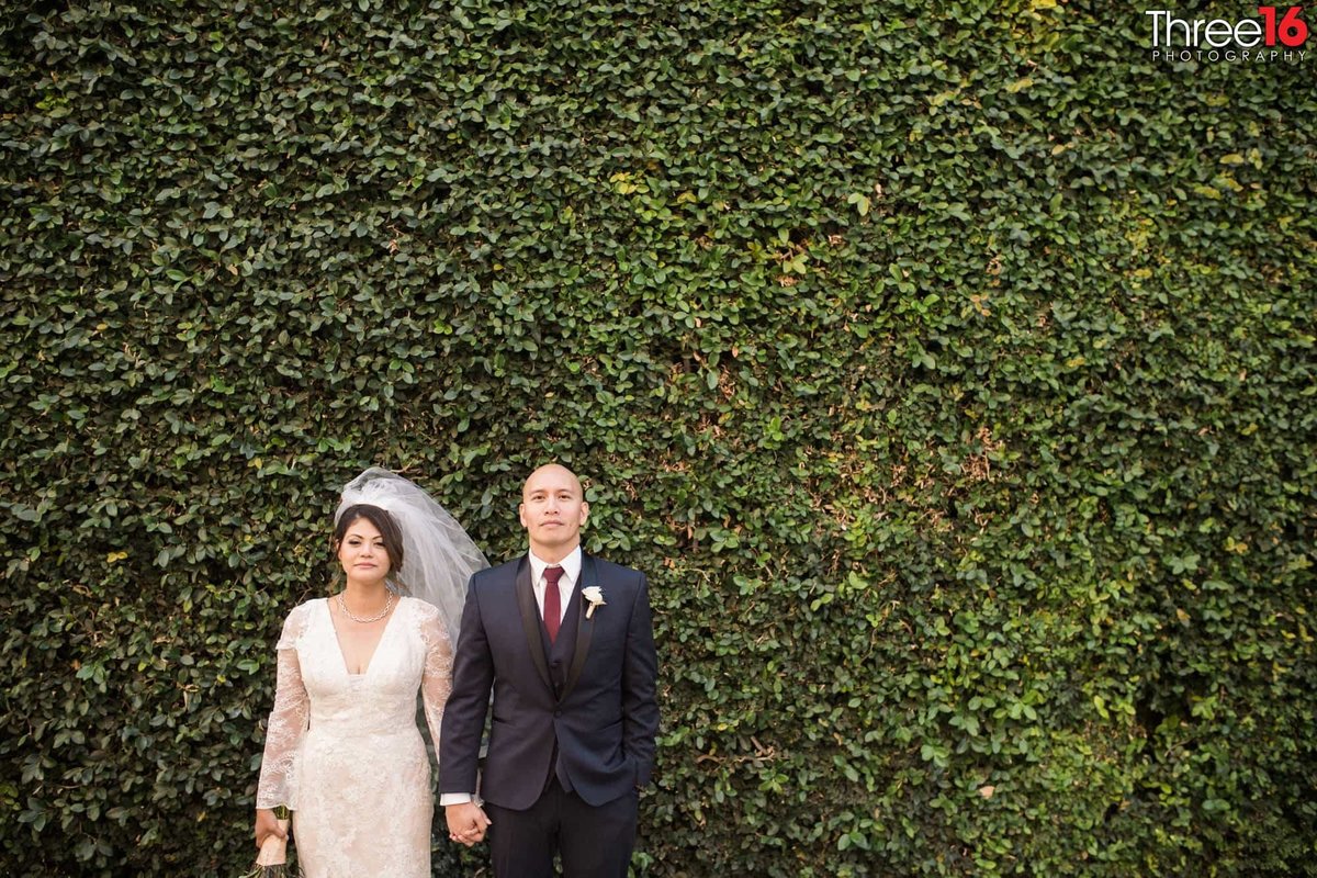 Bride and Groom pose in front of ivy covered wall