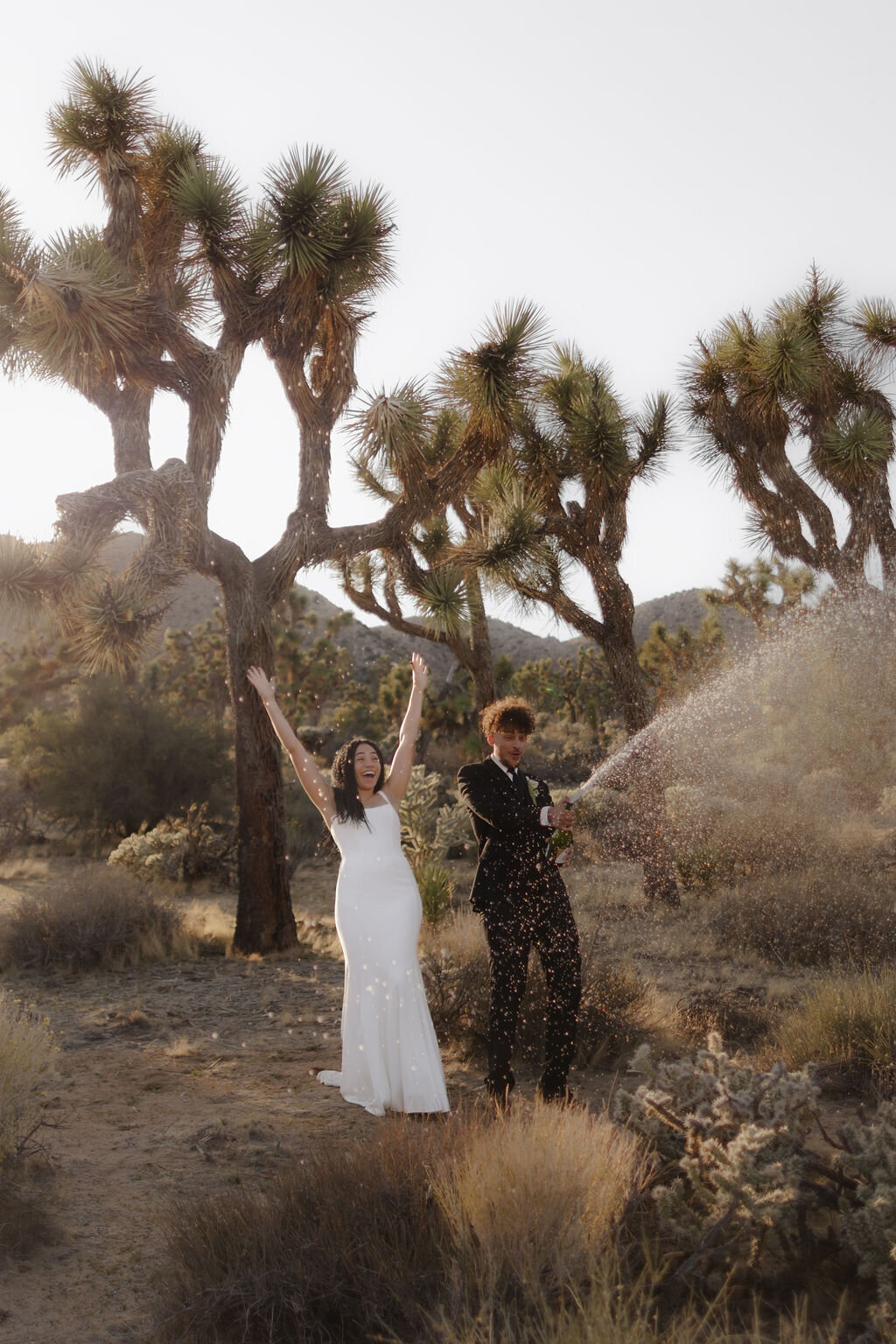 JoshuaTreeChampagnePop