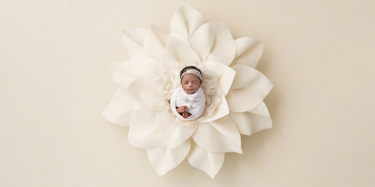 Newborn baby girl wrapped in white and posed at the center of a large cream flower in a clean, minimalist composite portrait.