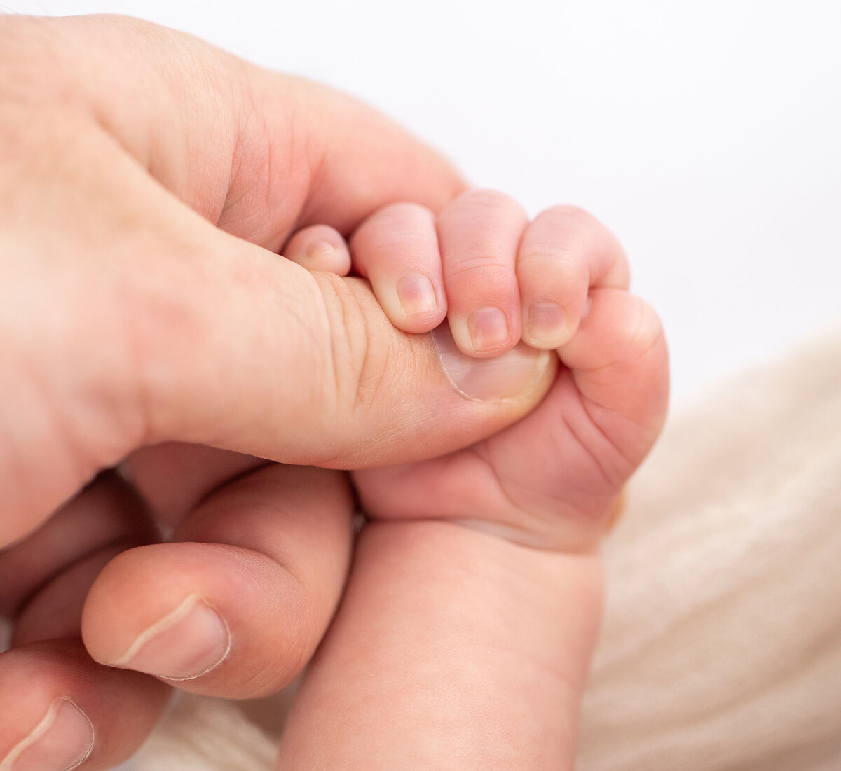 an adult hand holds a newborn hand