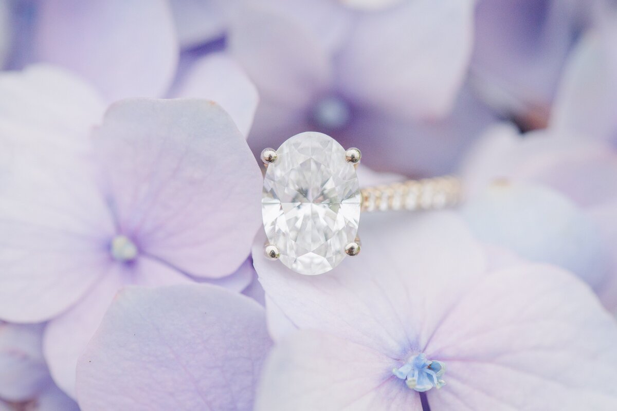 Close-up of an oval-cut diamond engagement ring with a pavé band resting on soft lavender hydrangea petals at Chatham Bars Inn in Chatham, Massachusetts — representing the portfolio of a Cape Cod engagement photographer.
