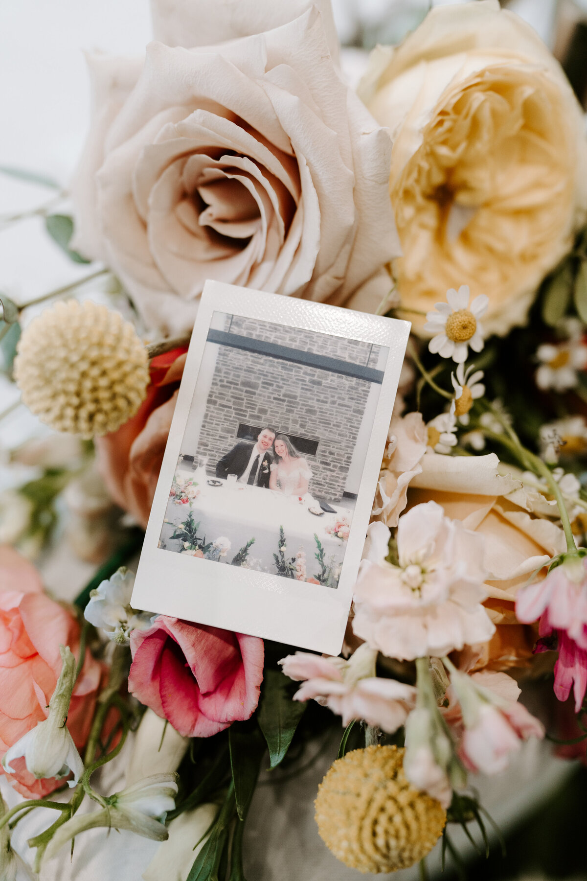 kraber-the-gathering-grounds-iowa-wedding-163