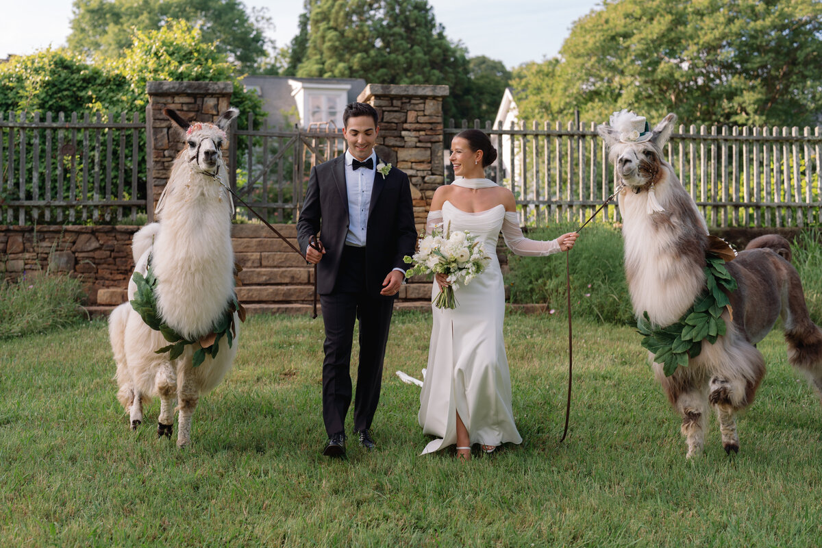Rachel-Pourchier-Photography-Wedding-Serenbe-destination-photographer_Rubin_Horse119