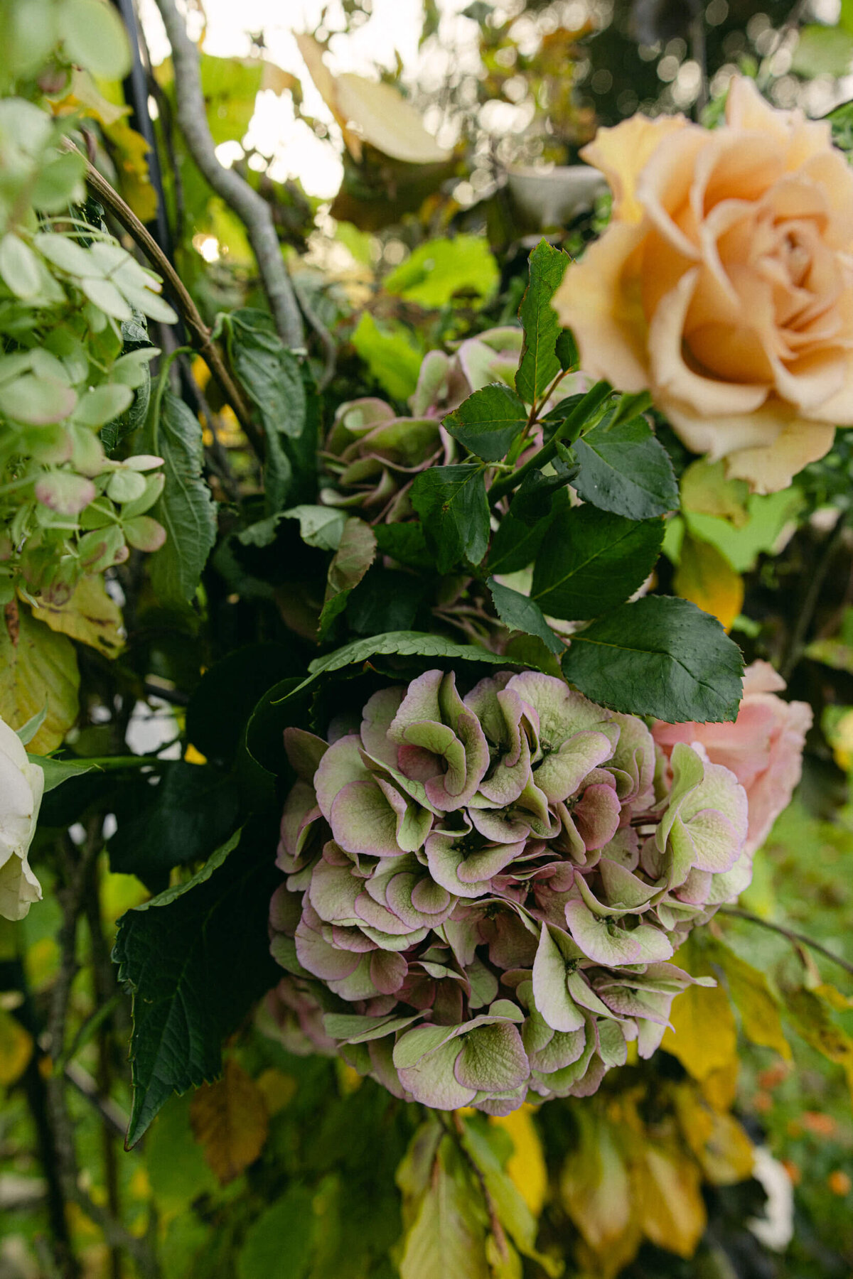 luttrellstown-castle-wedding-ireland-by-jayce-keil-104