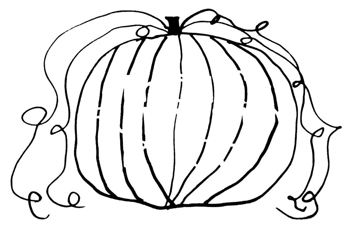 theaspumpkinpatch.com logo